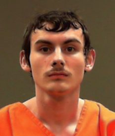 article image - noll mug